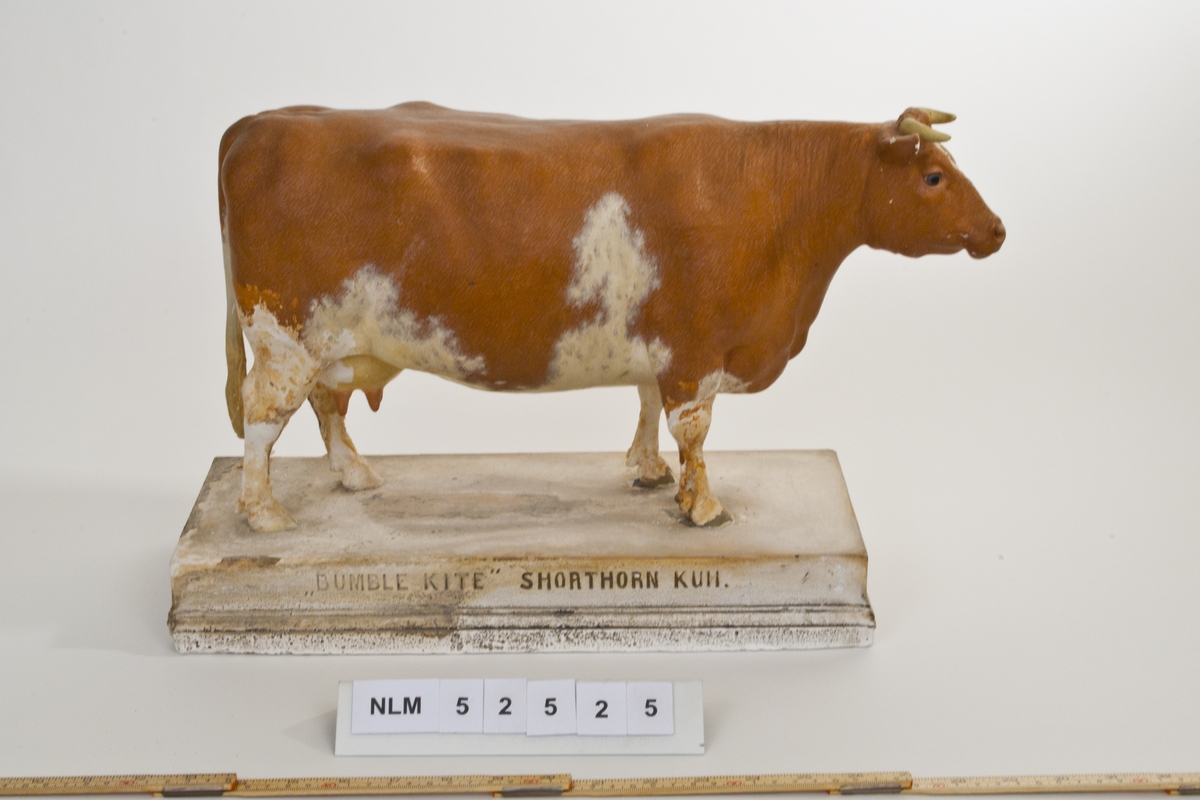 Gipsfigur, storfe, ku, shorthorn