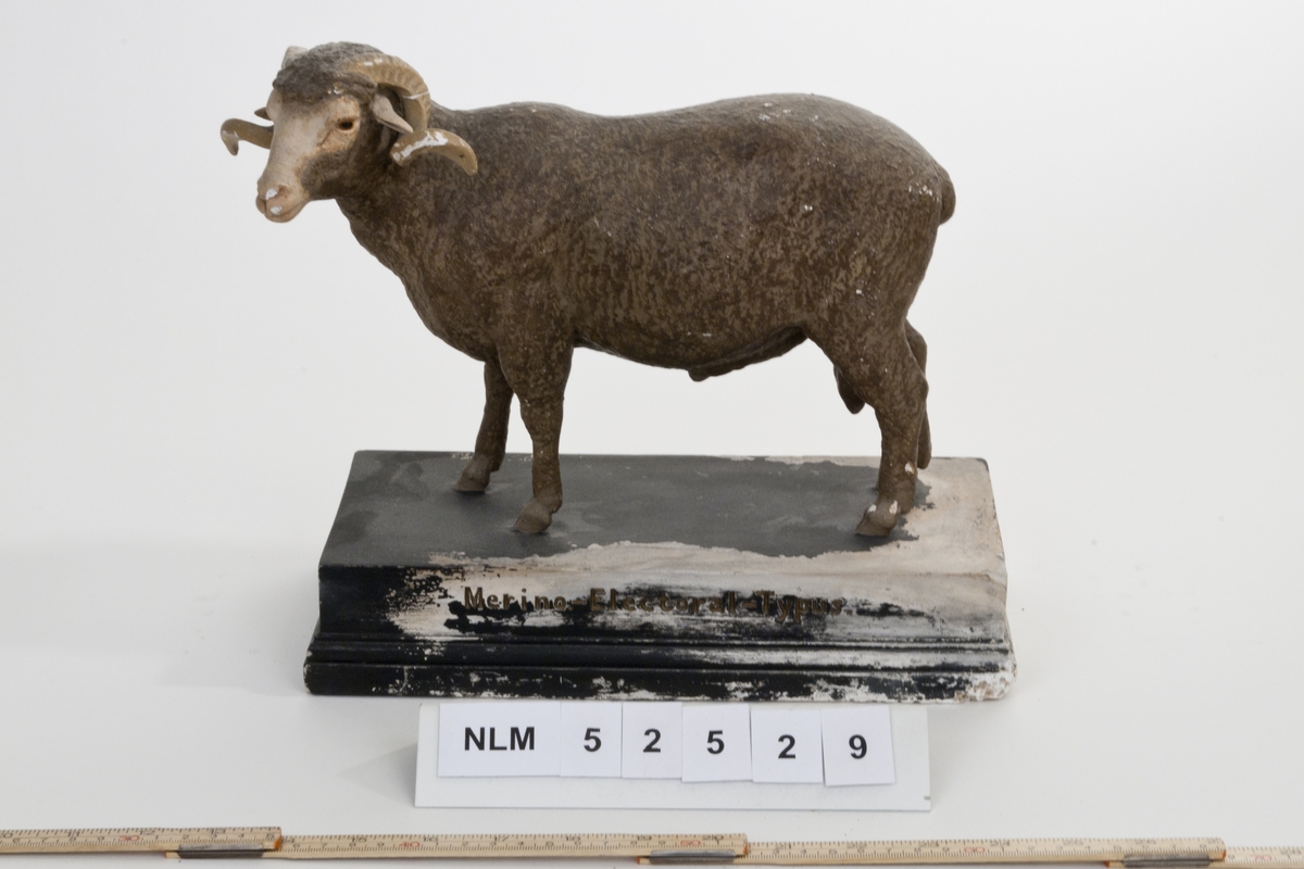 Gipsfigur, sau, vær, merino