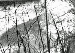 Svenska Frivilligkompaniet