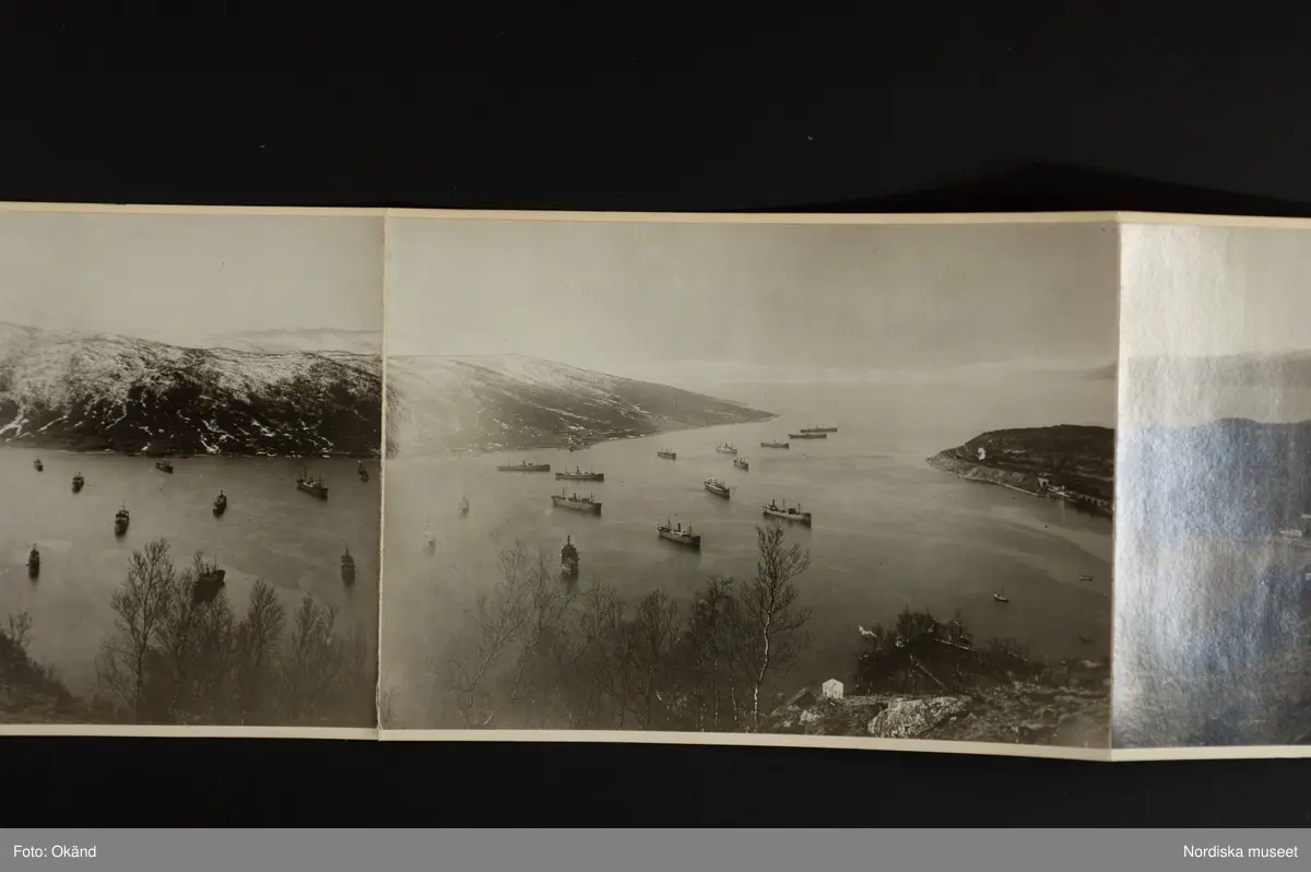 Panorama över Narvik, hamnen med malmångare, bebyggelse och i bakgrunden fjällen.