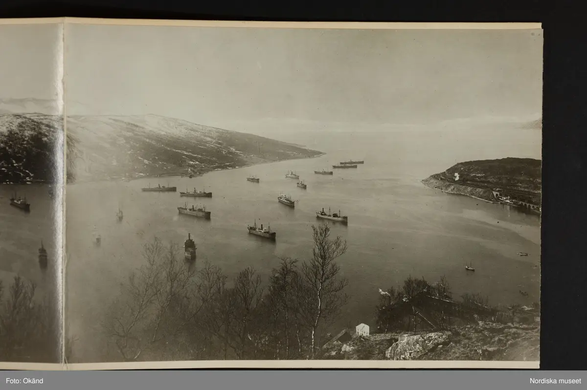 Panorama över Narvik, hamnen med malmångare, bebyggelse och i bakgrunden fjällen.