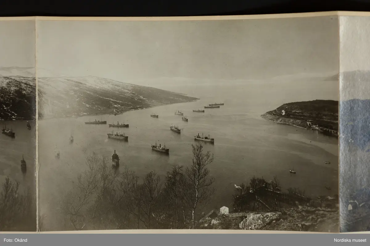 Panorama över Narvik, hamnen med malmångare, bebyggelse och i bakgrunden fjällen.