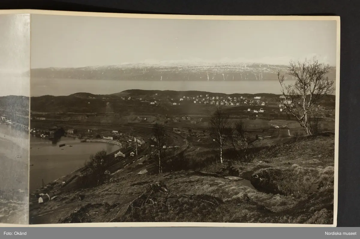 Panorama över Narvik, hamnen med malmångare, bebyggelse och i bakgrunden fjällen.