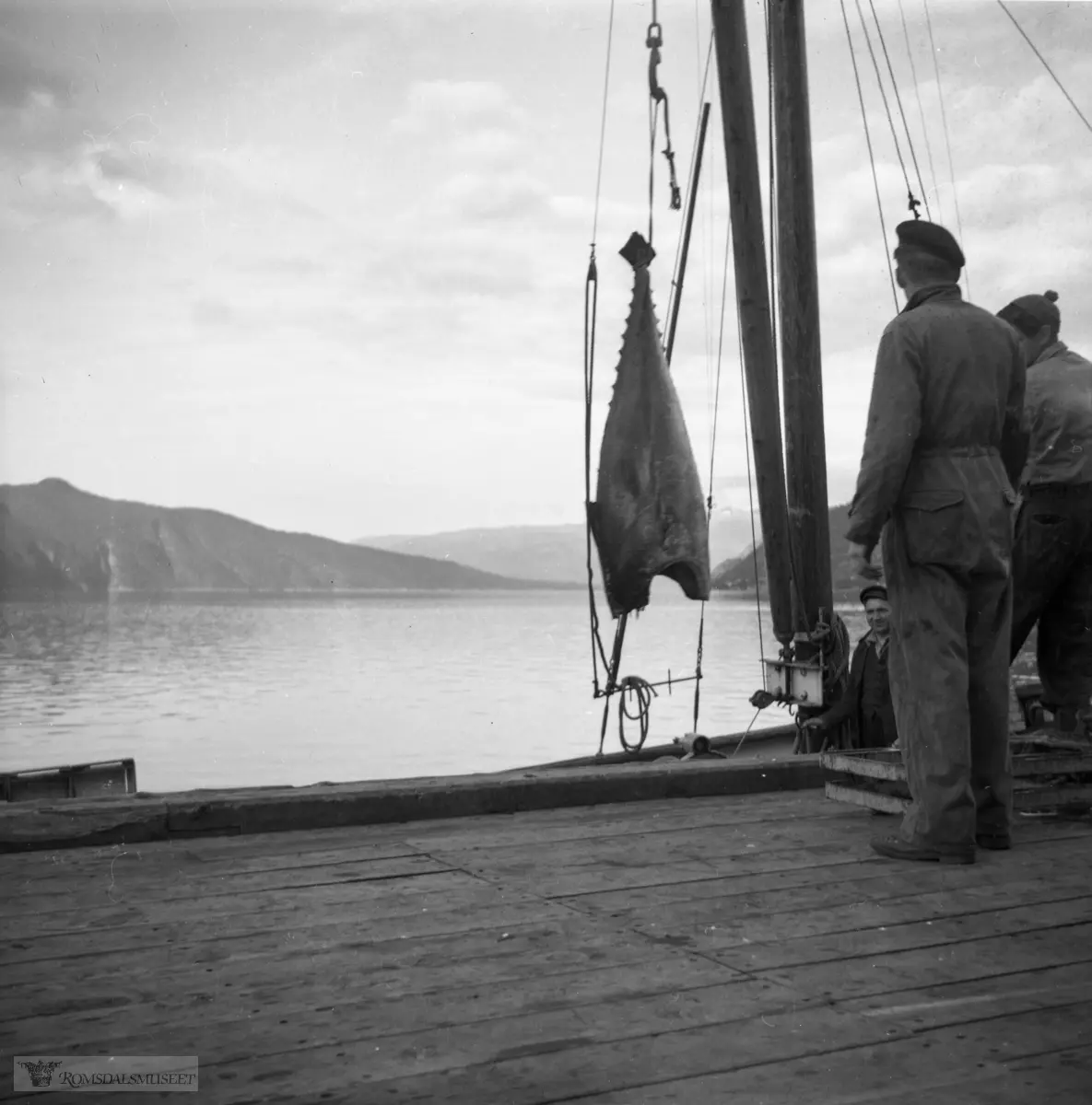 (Erling Havnes hadde adresse på Hermansverk når denne filmen ble fremkalt)