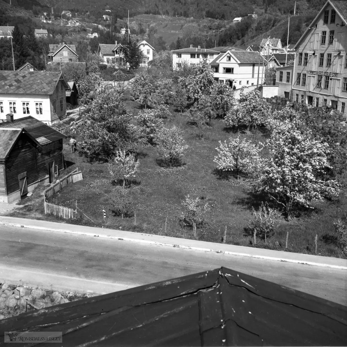 AS Halvard Drægni var ein konservesfabrikk på Hermansverk i Leikanger i Sogn og Fjordane. Landhandlar Halvard Drægni i Skjolden i Luster starta produksjon av saft og syltetøy i 1900.