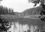 Parti av Stångån tillika Kinda kanal 1904. Platsen är den trånga passagen utmed Uveberget strax söder om Slattefors sluss.