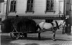 Nybrogatan 7, Kv Banken. Hölass framför Nybrogatan 7.