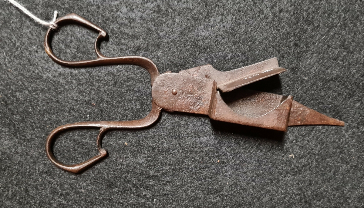 Ljussax. 

Ingår i:
Ljusbricka av plåt samt två ljussaxar av stål. Från Håbol, Valbo, Dalsland.