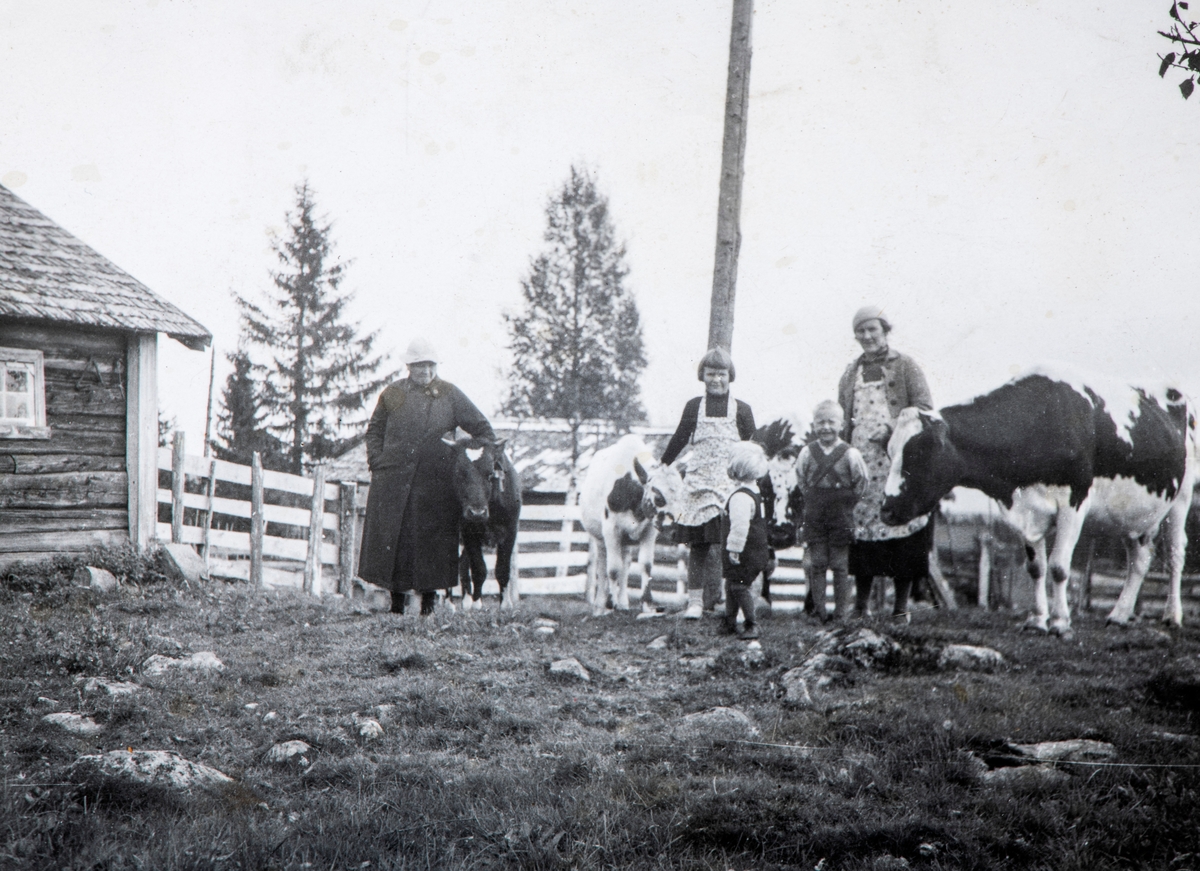 Fra setervollen på Ålsætra i Løten, fra venstre Helga Hovind, barna er Bjarnhild Hovind, Magne Hovind og Øystein Hovind, ukjent dame. Ungene var barn av Eivind Hovind og Berthe født Honerud. Kyr, kuer, ku.