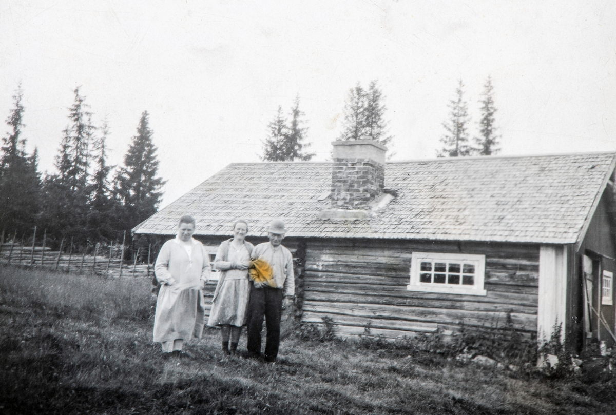 Gruppe 3 utenfor Ålsætra i Løten. 
Helga Hovind, født 1881, gift med enkemann Kristian Dalby som kjøpte Hovind gård av Mikkel Hovind.
Inga  Pauline Hovind, lærer i Vallset og Romedal, født 1890, gift med Karl Goversten, emmisær fra Lillesand.
Emil Hovind, 1871, Gift med Tora Torvaldsen Bækkevold, Løten.