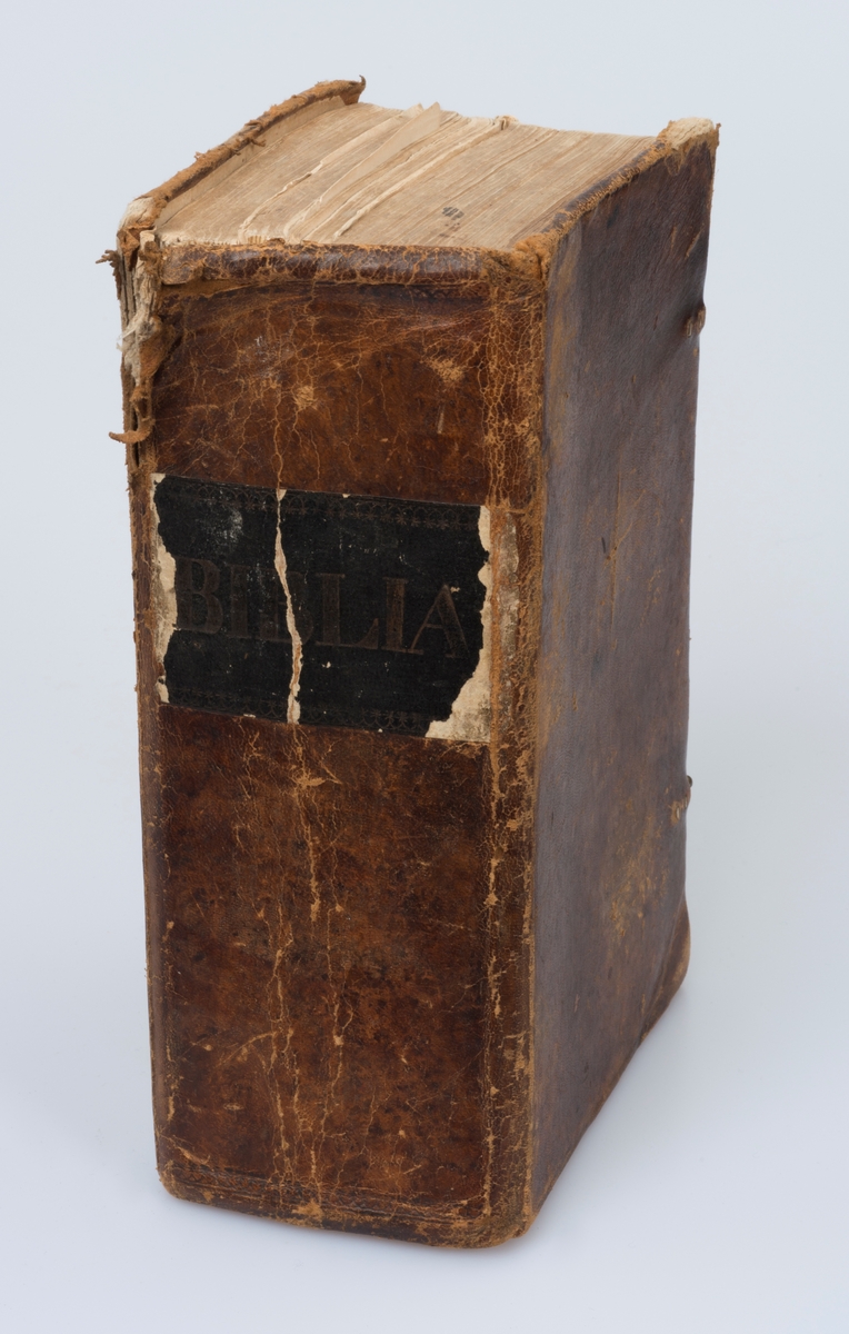 Bibelen. Christiania. 1834.

Helbind, skinn. Merker etter to spenner som mangler. Påklistrert papir med "Biblia" på ryggen. Bindet er slitt, noe revnet og bokmaterien har delvis løsnet fra innbindinga.