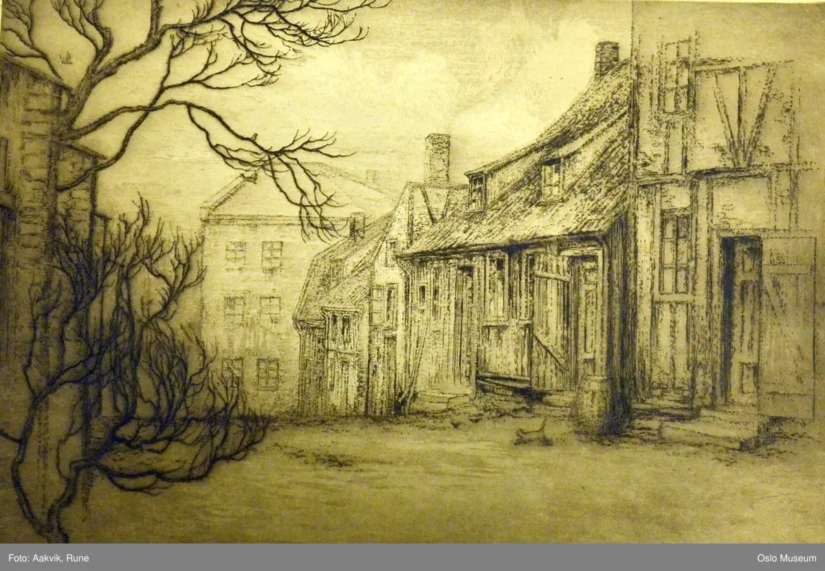 arkitektur, gatebilde, tre, tønne, katt, bindingsverk, gateløp