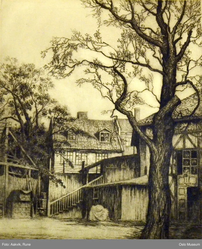 arkitektur, bindingsverkhus, trehus, uthus, gårdsplass, trær,