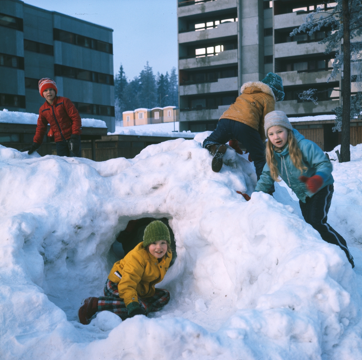 Foto av barn som leker i snøhuler utenfor høyblokkene på Romsås.