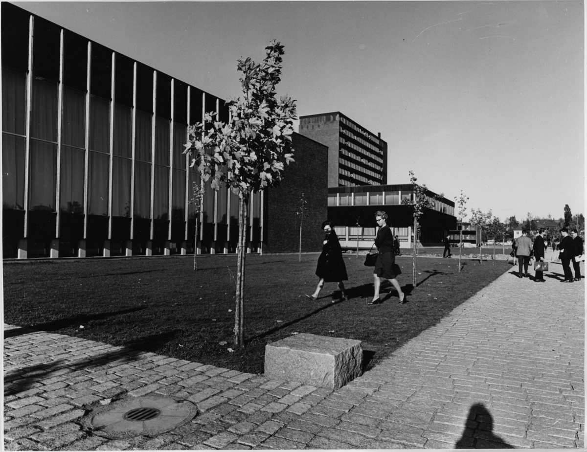 Foto av mennesker på Universitetet i Oslo - Blindern.