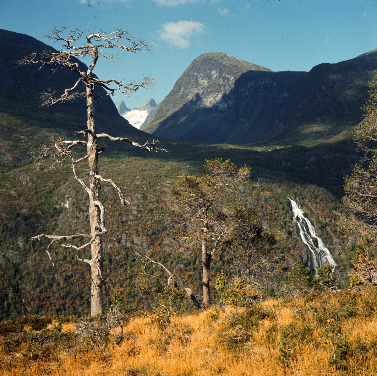 Vettismorki - Jotunheimen 9 Sept.-68