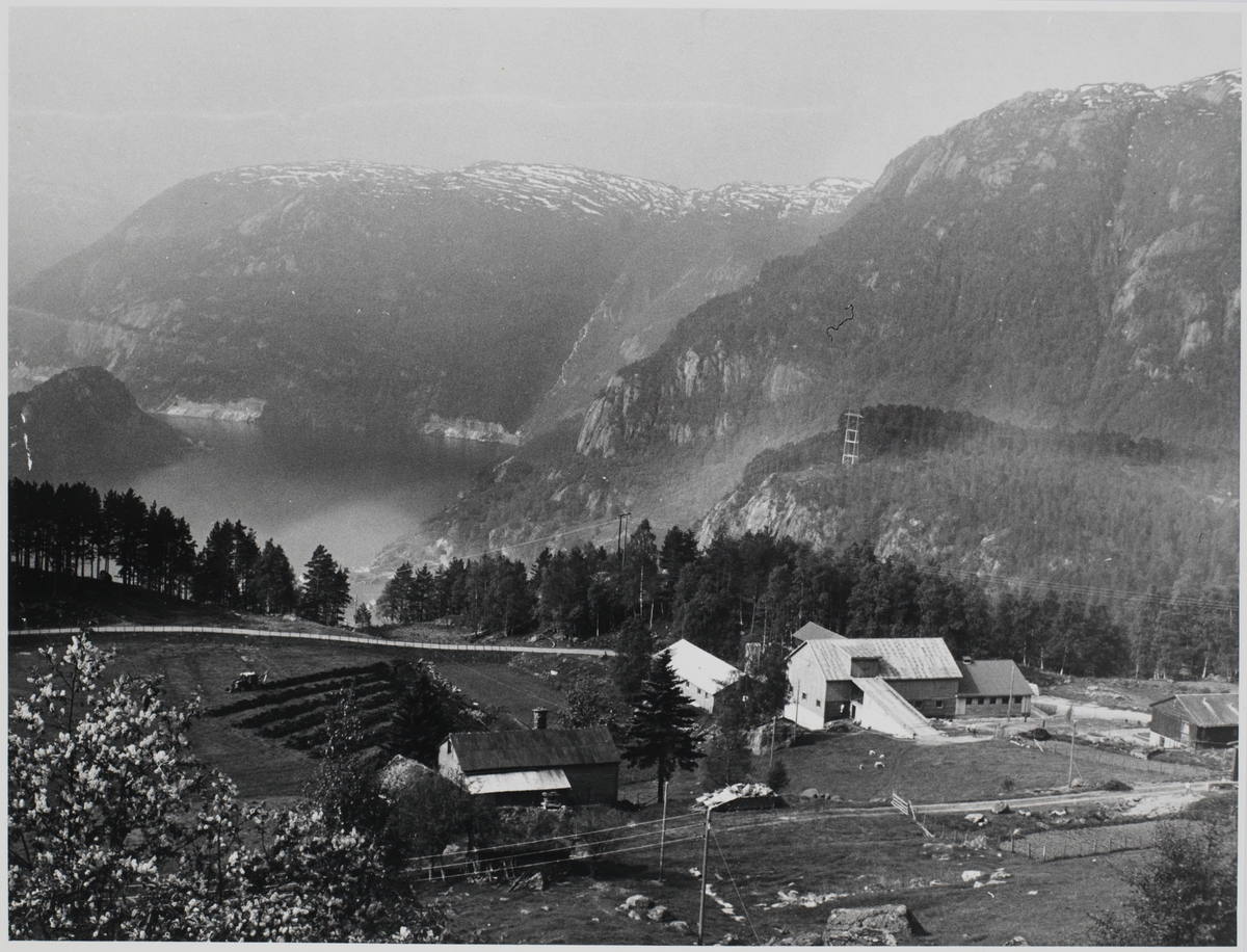 Over Nesflaten og Suldalsvann  Pan F Roll 35T  Hard.