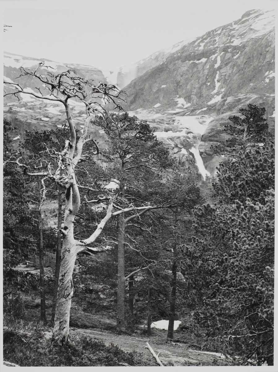 Nykkjesøyfossen og Søtefossen