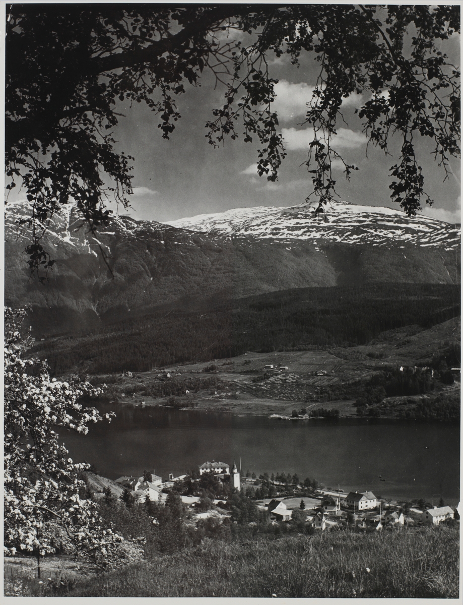 Ulvik Hardanger
