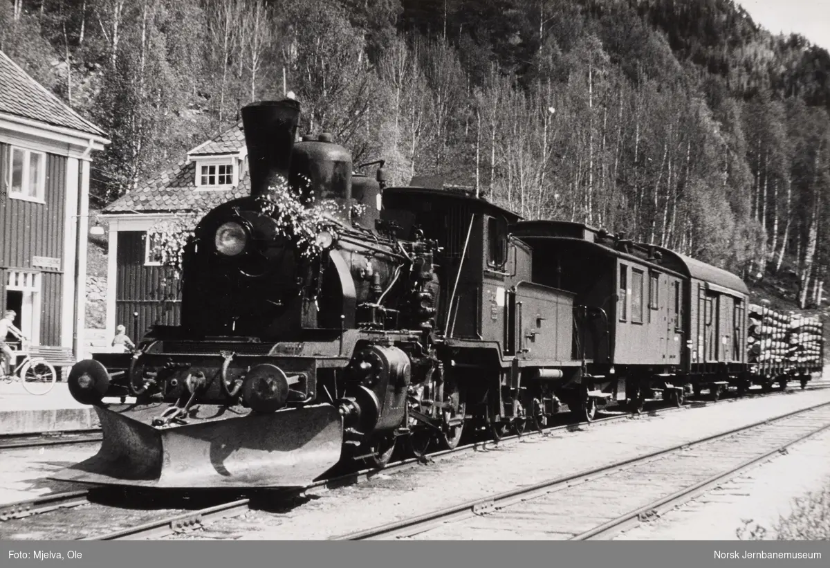 Damplokomotiv type 21b nr. 252 på Rødberg stasjon. Dette var siste dag med damplokomotiv i godstoget på Numedalsbanen