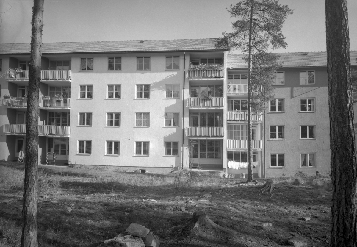 Lavblokker i drabantbybebyggelsen på Tonsenhagen i Grorudalen. Bildet er tatt fra baksiden av blokkene.