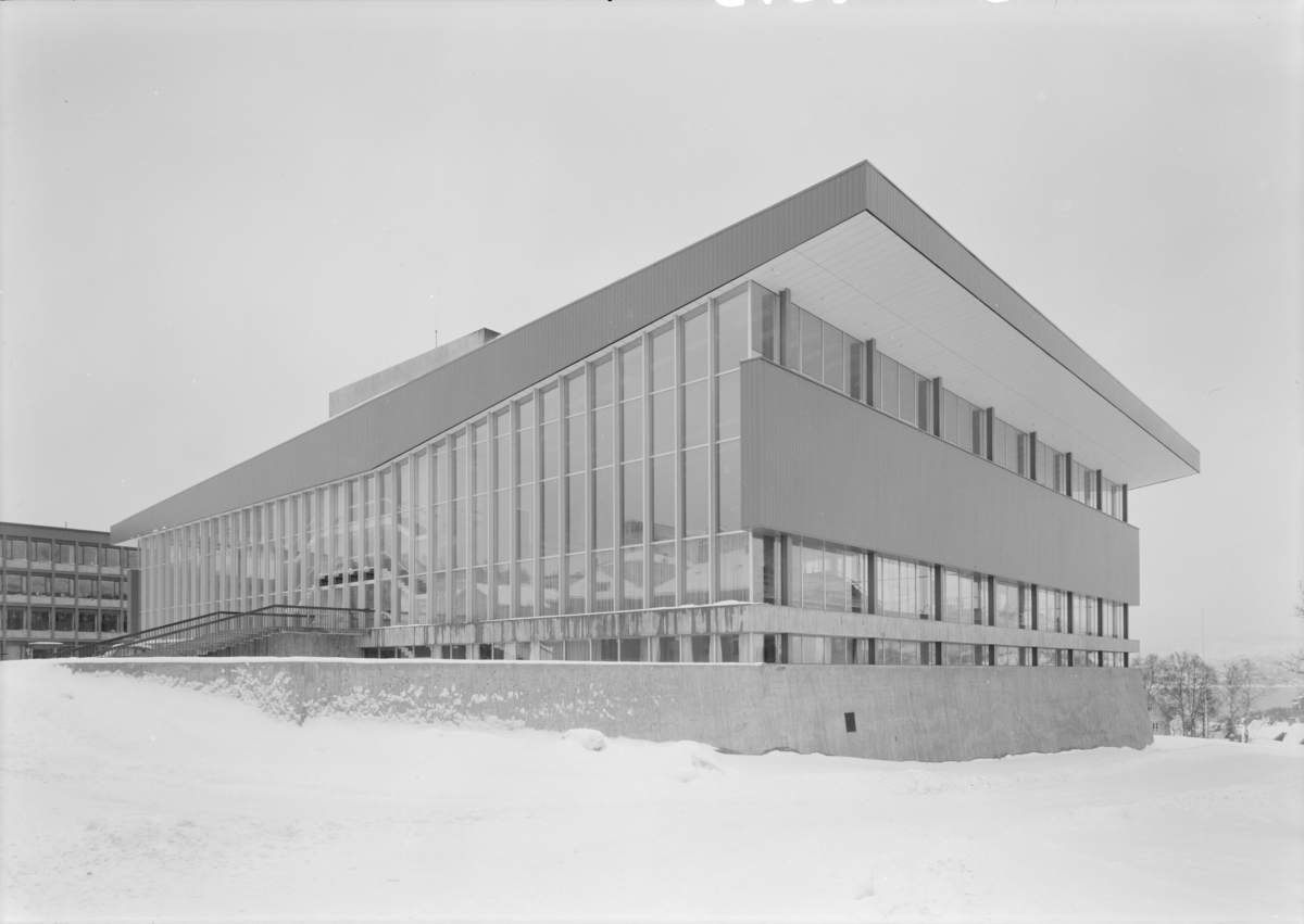 Arkitekturfoto av Idrettens hus i  Narvik.