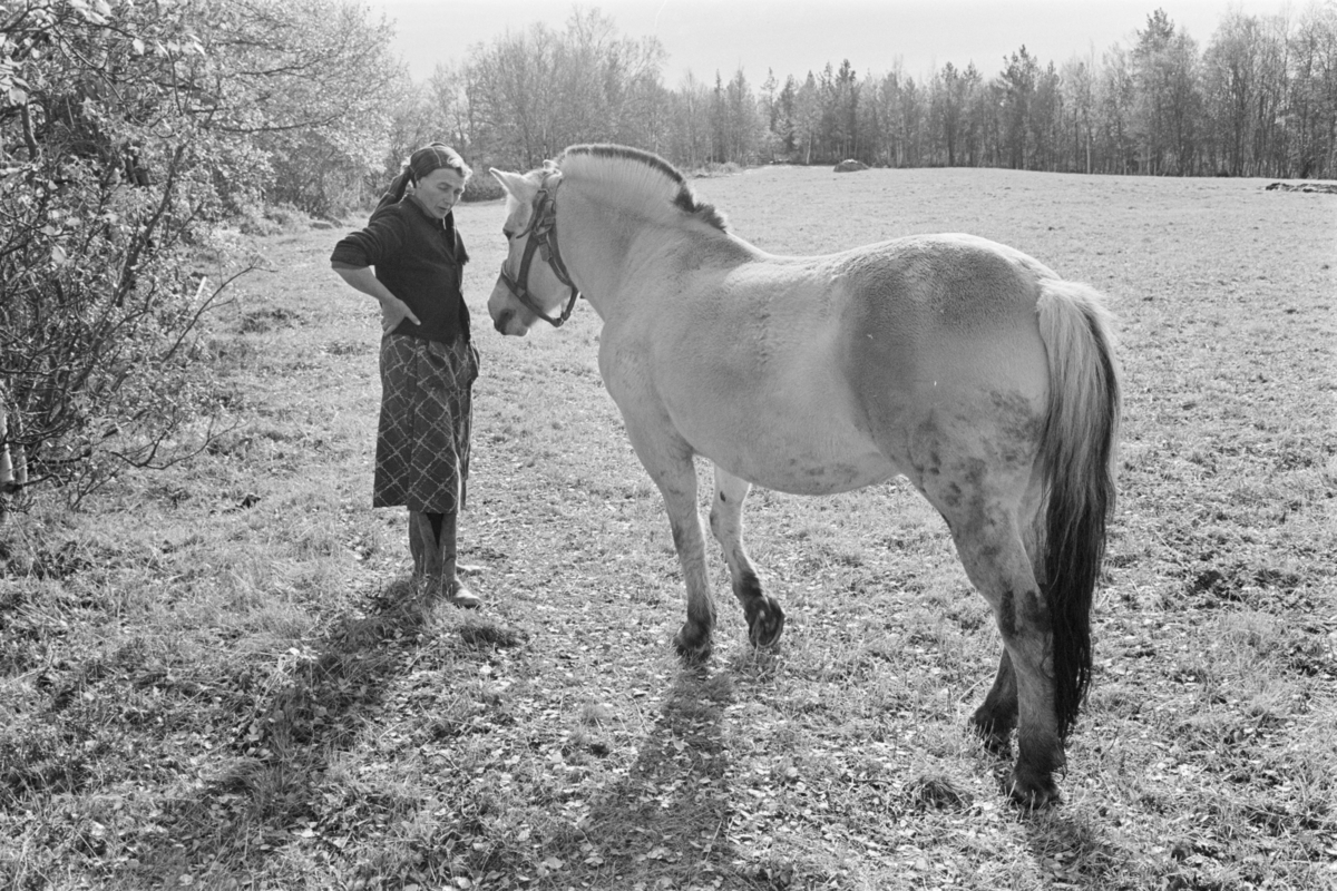 En kvinne står med en hest i utmarka på Røros.