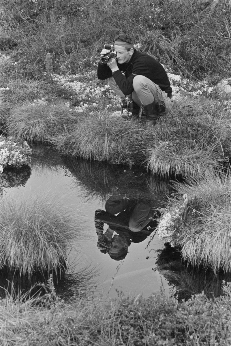 En mann fotograferer et myrlandskap ved Røros.