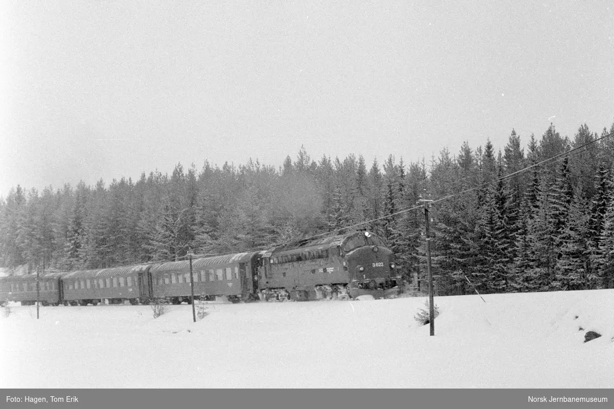 Diesellokomotiv Di 3 622 med persontog fra Oslo S til Fagernes, tog 281, nær Trevatn holdeplass