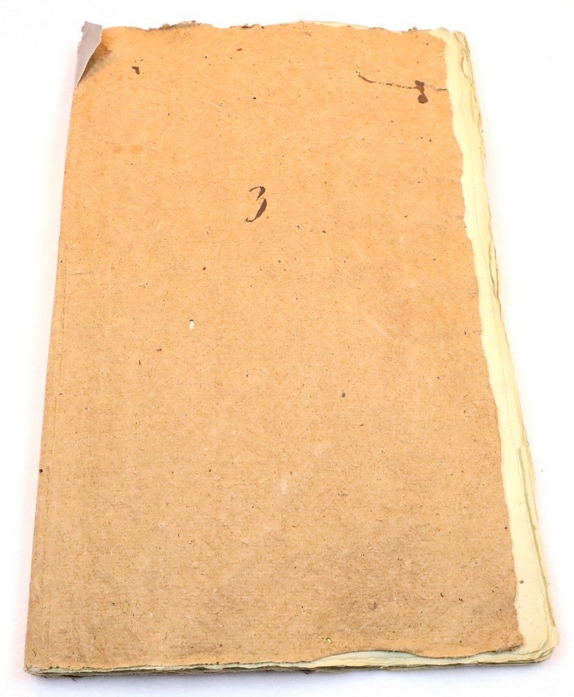 Plante nr. 220 frå Ivar Aasen sitt herbarium.  