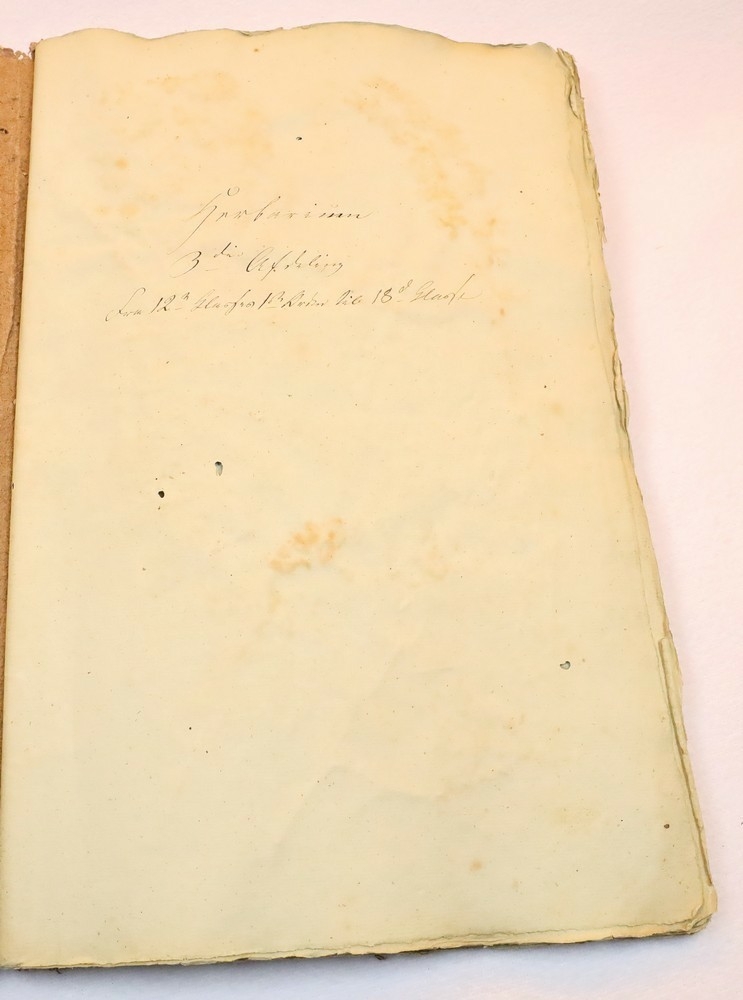 Plante nr. 220 frå Ivar Aasen sitt herbarium.  