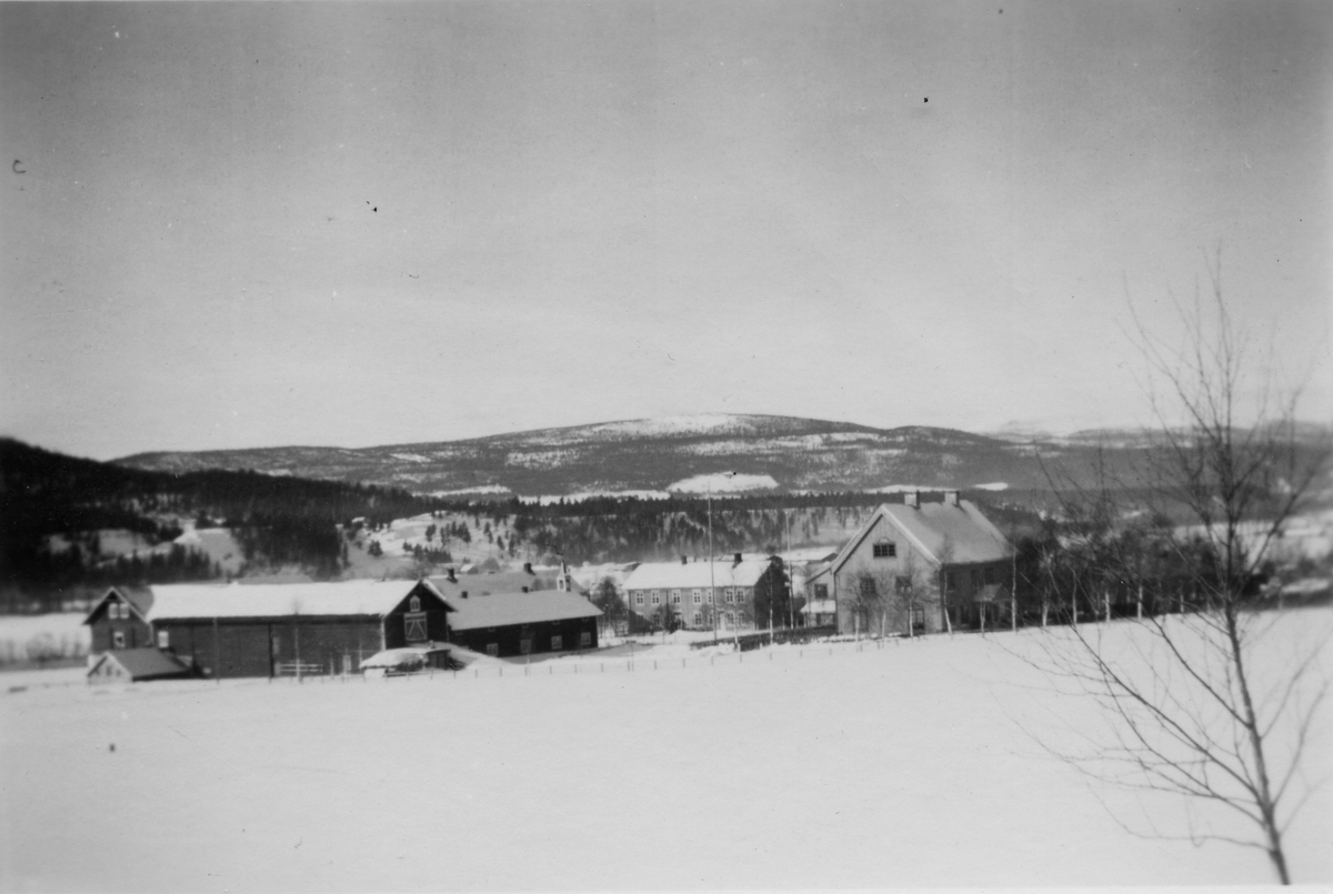 Storsteigen landbruksskole