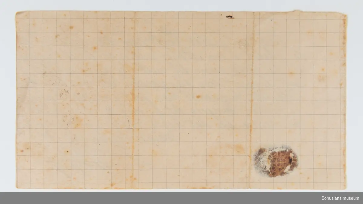 Arbetsintyg skrivet av fotograf Johan Pettersson i Vårgårda till Ester Läckgren som praktiserade i dennes ateljé hösten 1894.
Skrivet med bläck på rutat papper med texten:

Fröken Ester Läckgren har såsom biträ=
de arbetat å min Atelier under en tid af 6 månader
och har under denna tid visat stor flit i arbetet
samt fullgjort sina åligganden till min fulla be=
låtenhet, hvarjemte hon fört en i allo hedrand=
de vandel, hvarföre det är mig en kär plikt
att henne till det bästa rekommendera.
Wårgårda den 6/2 1895
J. Pettersson
fotograf

Beseglat med rött sigillack.