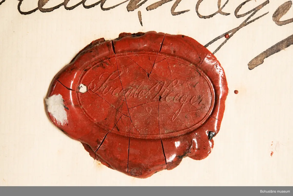 Arbetsintyg skrivet av fotograf  Swante Haeger, Strömstad till Ester Läckgren som arbetade i dennes ateljé 1896 - 1899.
Skrivet med bläck på papper med texten:

Fröken Ester Läckgren 
Som i tre – 3. – års tid arbetat å mina
Atelierer både som negativ och positiv
retouschör, samt äfven på egen hand
förestått atelien, lemnas här vitsord
att hon alltid uppfylt sina ålig-
gande samvetsgrant och punktligt
och, är det mig ett nöje kunna rekom-
mendera henne till den som sätter
värde på dugligt biträde.

Lysekil den 1. Maj 1899
Swante Haeger

Beseglat med rött sigillack.