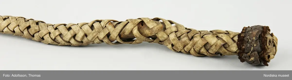 Av en tjurpenis.