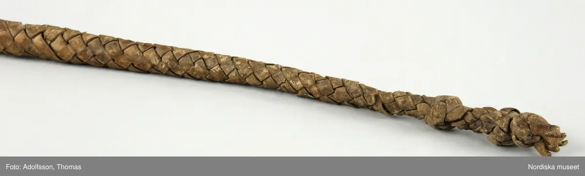 Av en tjurpenis.