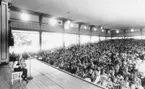 Teatern, uppträdande med dragspel, Västerås Folkets Park juni 1962.