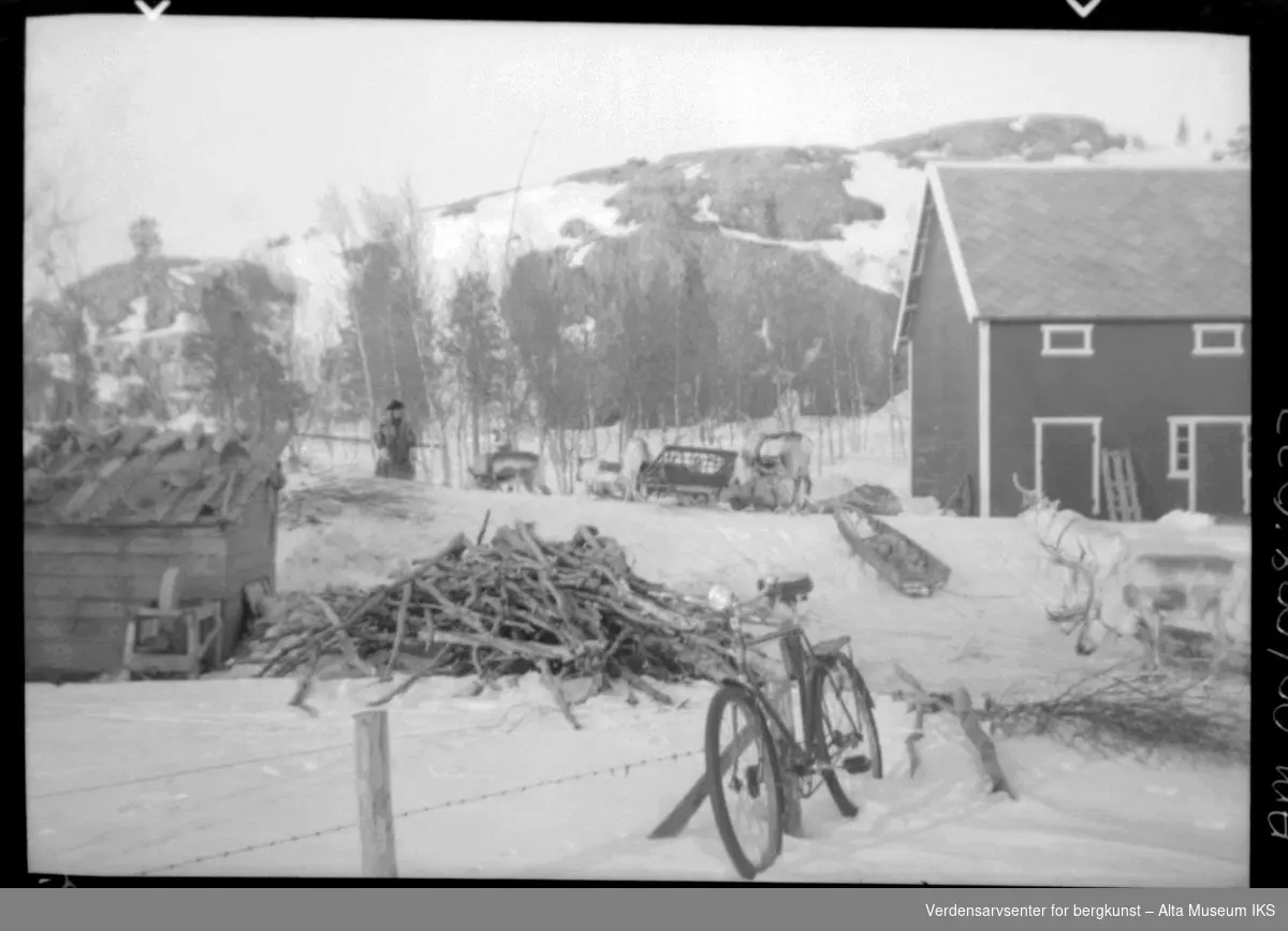 Reinraid på gårdstunet Myreng i Tverrelvdalen. På bildet ser vi en samisk person og flere rein ved en fjøs. Snødekt fjell i bakgrunnen.