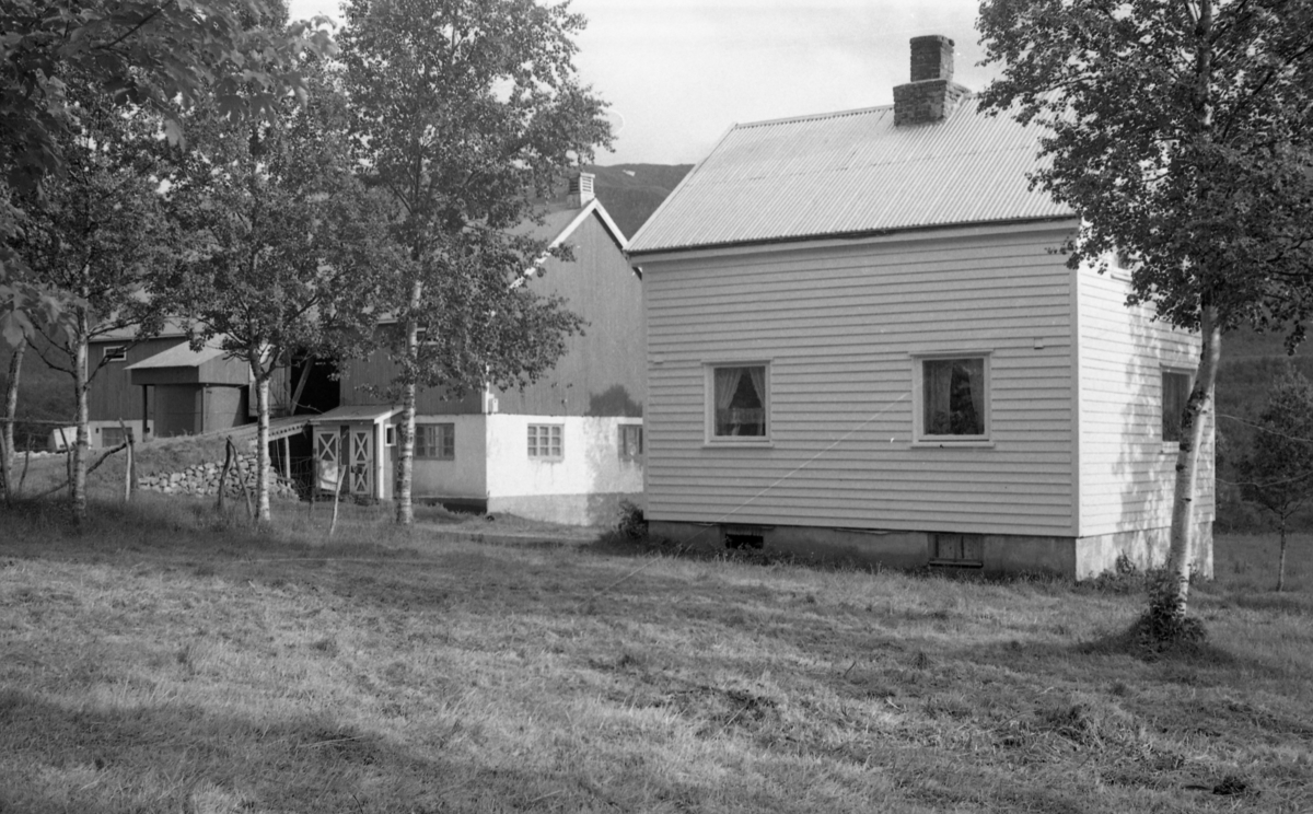 Lakså, Holmstaddalen i Sortland 1971