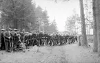 Vid en arkeologisk undersökning på gravfältet invid Kårarp i Viby socken, tog museets utsända hjälp av ett försvarligt antal elever och anställda från den närliggande Lunnevads folkhögskola. Den extra arbetskraften kom till synes väl till pass när omkullfallna gravmarkörer skulle resas. Året var 1930.