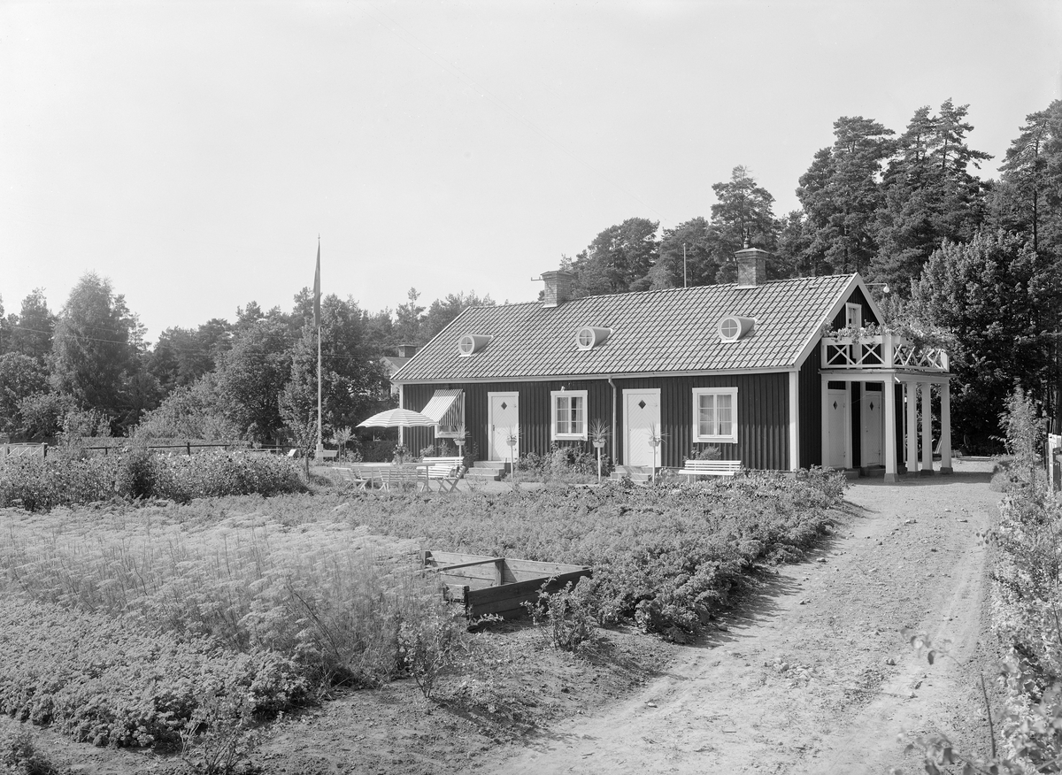 Ett motiv som länge gäckat oss men som genom extern upplysning kan lokaliseras. Enligt fotografens liggare för produktionsåret 1926 beställdes bilden av fröknarna Karlsson med en notering om Parkgatan i Linköping. Vid tiden kallades området Rydalslyckorna och från förra sekelskiftet bebyggdes det med ett antal bostäder med enkel standard. Till tomterna Rydal 5-6 knyter källorna tre systrar Karlsson som inflyttat från Ronneby och där äldsta syskonet Hilma bar titeln som varande handelsidgerska. Året efter bilden skulle hon upplysningsvis gifta sig med trädgårdsmästare Öllegård, längre fram känd som blomsterhandlare i Linköping. Giftemålet kom även vidare att föranleda henne att som fru Öllegård annonsera för firman Lindhems Blomster,- Frukt & Grönsaksaffär med försäljning i Centralhallen. Bildens miljö placerar huset till platsen för nuvarande Valkebogatan 12, som uppfördes 1957. Hilma Karlsson hade köpt tomterna Ryddalen 5 och 6 år 1920 och hon flyttade dit med sina systrar omkring tiden 1925-26. Rimligtvis stod huset då färdigt och vi betraktar således ett nybyggnadsfoto. Hilma sålde anläggningen 1935 och tomten kom vidare att upplåtas för flerfamiljshus. Bakom huset till vänster skymtar Ryddalen 7 med dåvarande adress Parkgatan 13. Foto mot norr med huset i öst-västlig riktning. Huset bör ha funnits kvar till mitten av 1950-talet för att sedan ge plats till Valkebogatan 12.