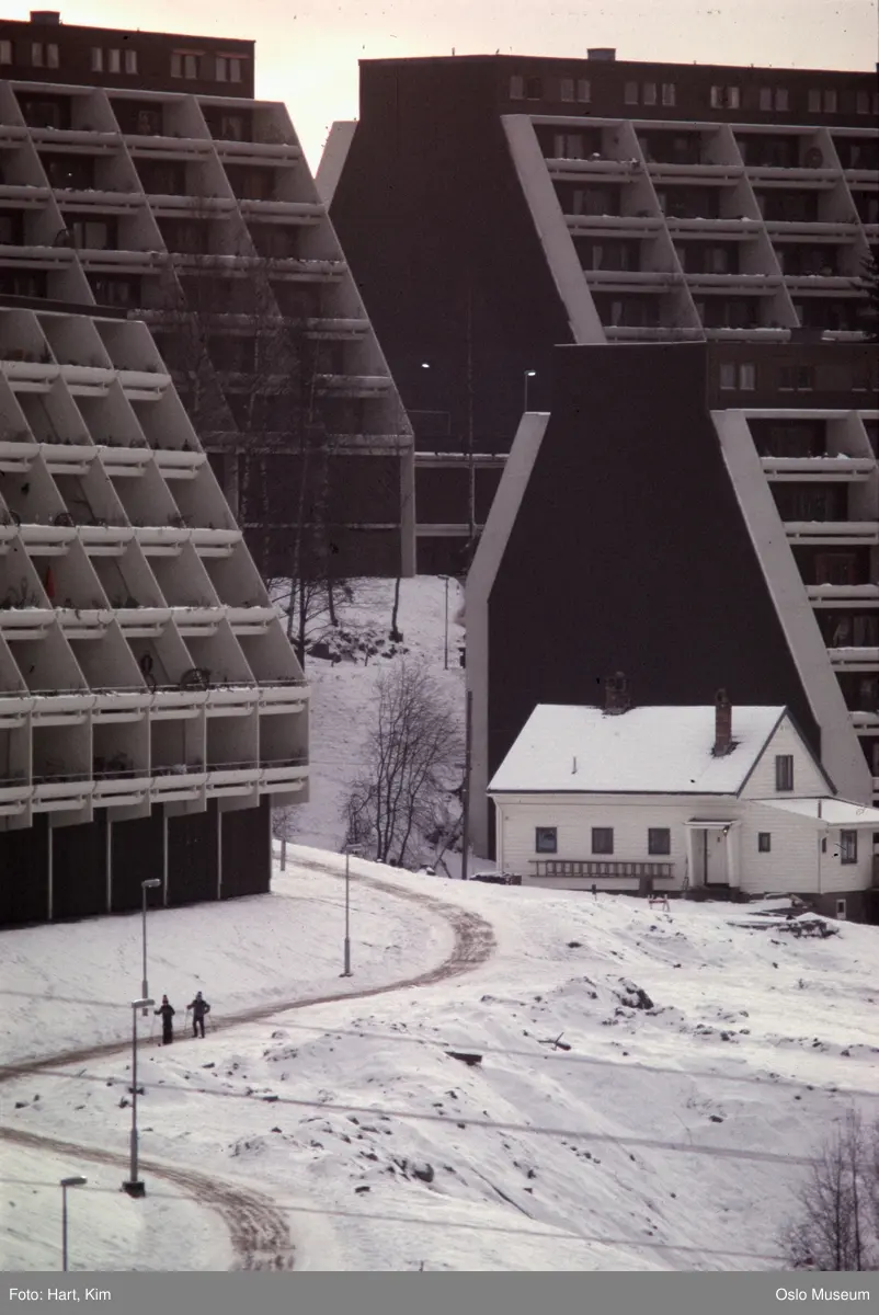 bolighus, boligblokker, gangvei, mennesker, snø