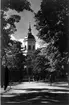 Stadsparken med domkyrkan i bakgrunden.