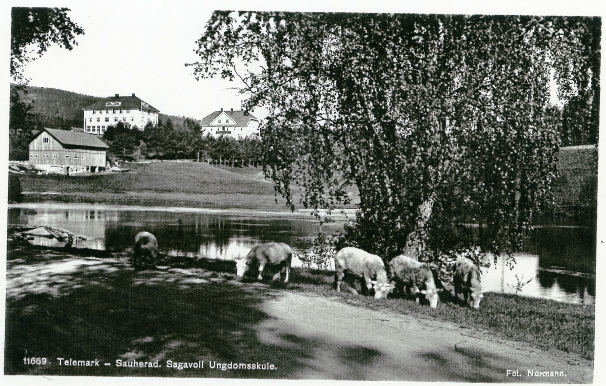 Sagavoll ungdomsskole. Gvarv, Sauherad.