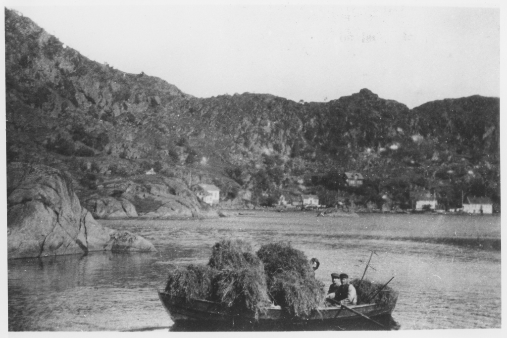 Rekefjord