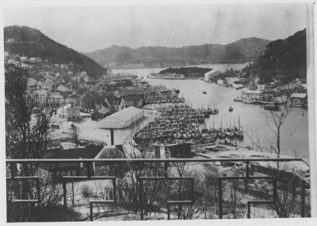 Fiskeflåten i Egersund Havn