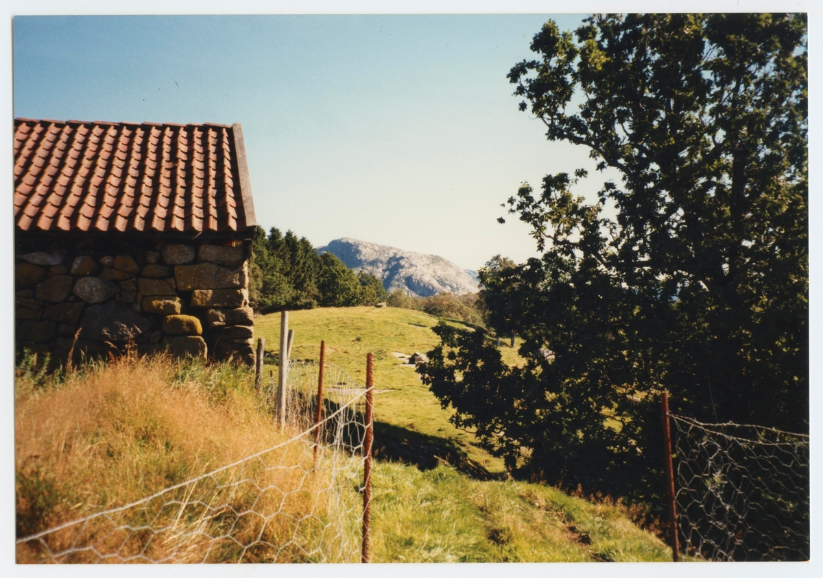 Museumsturen til Øya, Helleland