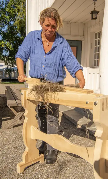 Kvinne med blå skjorte står ved et redskap som mykner fibrene i linstråene.