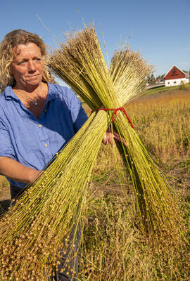 Kvinne i blå skjorte holder fram to bunter med nyhøstet lin.
