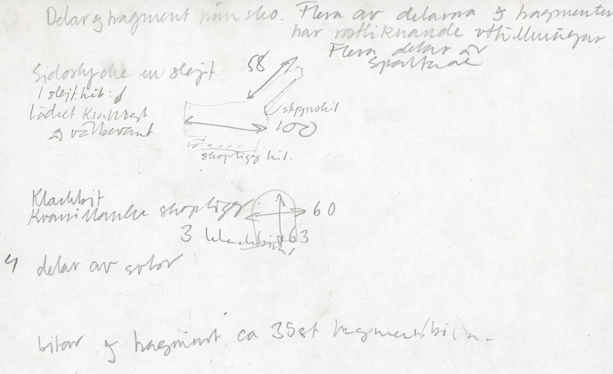 Ett 60-tal delar och fragment från sko: sulor, sidostycke, delar från klack m.m. samt ett filtfragment. Bland delarna kan urskiljas en klacklapp med kvarsittande skopligg samt ett sidostycke med slejf. I slejfänden finns ett hål - troligtvis knapphål.

Delar av lädret är kraftigt och välbevarat medan andra delar är spaltade samt har rostliknande utfällningar.